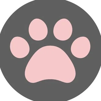 青崎衣里