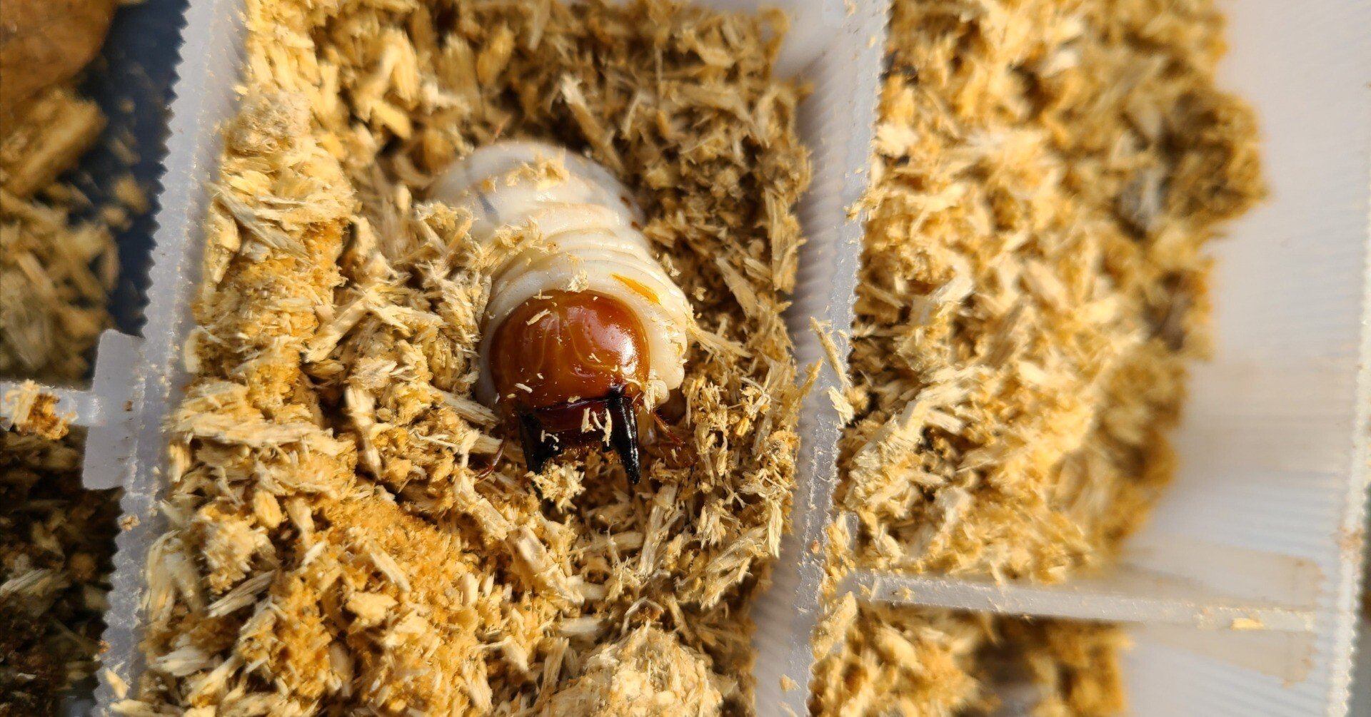 027f4ec6d2741aa09a93742b0b0b5c