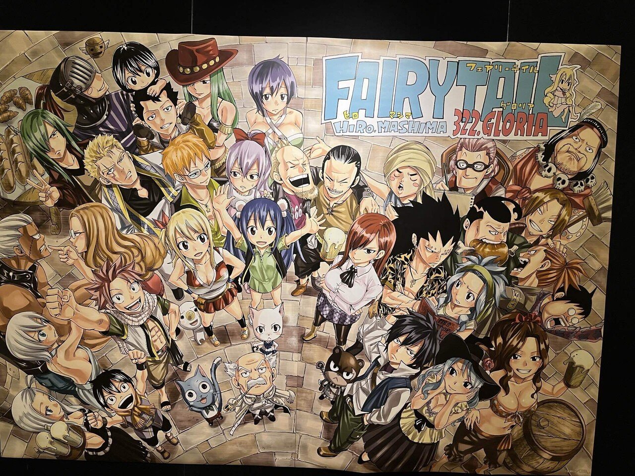 版画 WELCOME TO THE FAIRY TAIL!  ミクスドメディア MAGNOLIA－FAIRY TAIL