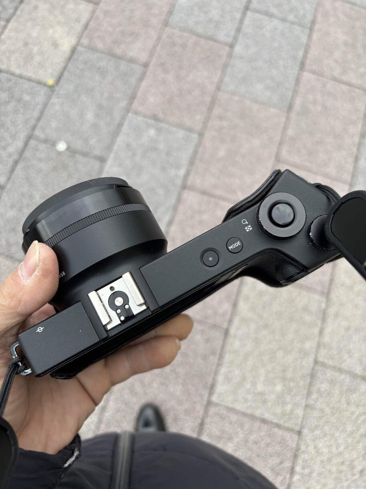 dp2クワトロ 新旧カメラ遍歴第1回：さようならフォビオン。今まで魚を