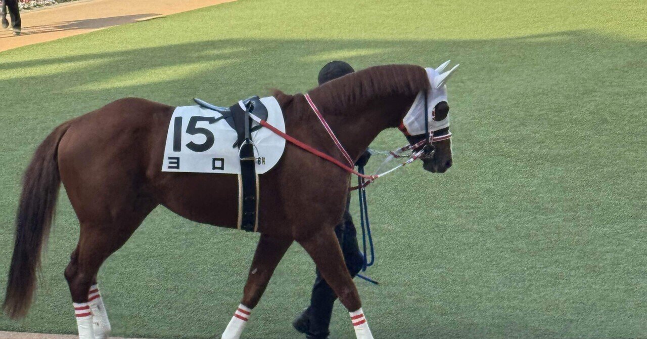 競馬　フェノーメノ　ベスト　Lサイズ 競馬 フェノーメノ ベスト Lサイズ - メルカリ