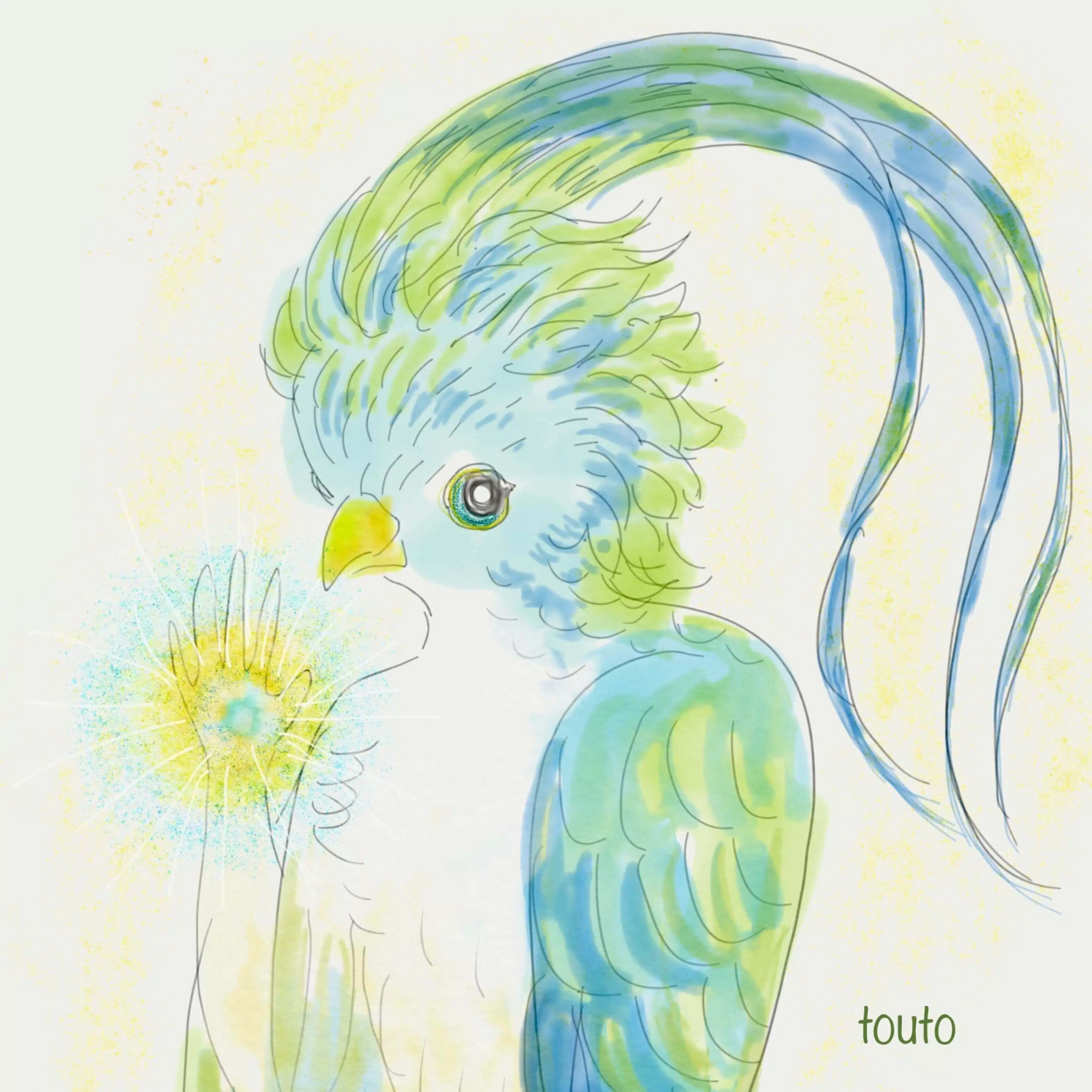 霊鳥ブログ　touto mamari