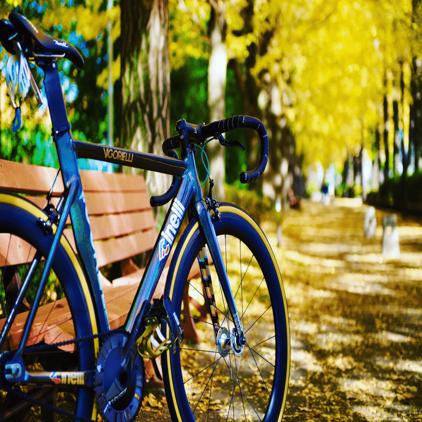 ピストのチェーンリング｜じゅん＠黒C