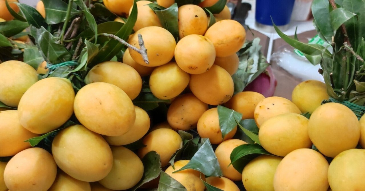 タイ果物】マヨンチットの季節到来！マプラーンとの違いは
