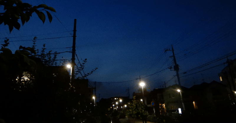 【日記】夜散歩と映画・読書の土日