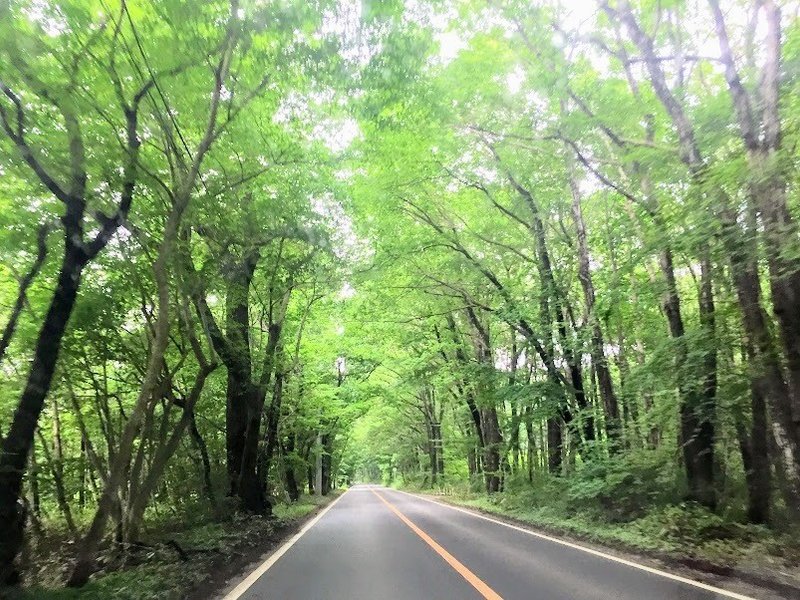第38回 雨の那須ハイランドパークのトリコ Tsuki Note 第38回 雨の那須ハイランドパークのトリコ Tsuki Note