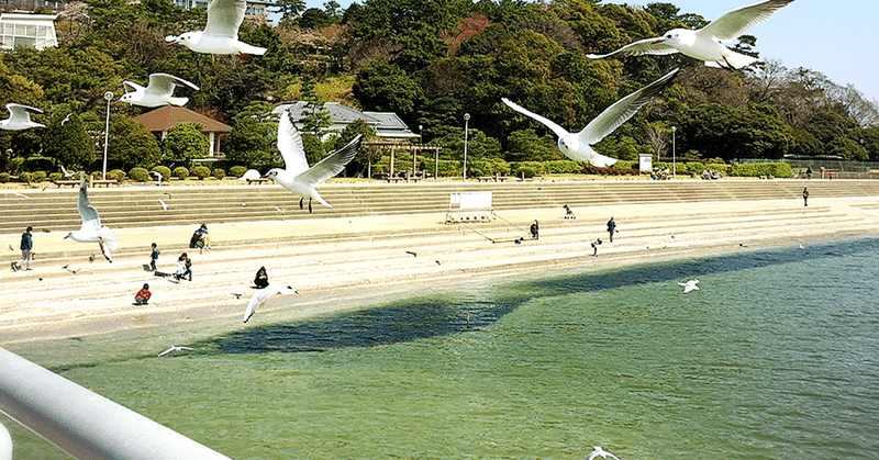 蒲郡の海の風景