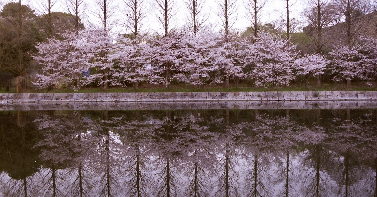 構図の水平と垂直 Maiechiura Note 構図の水平と垂直 Maiechiura Note