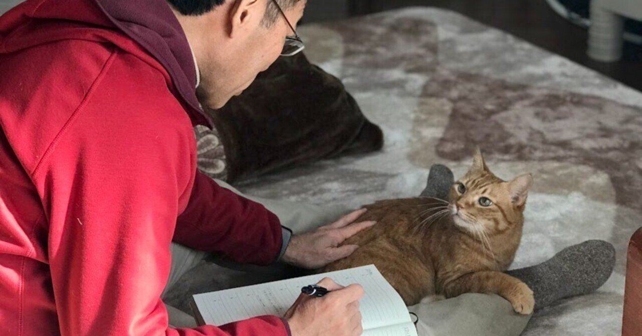 Amazon.co.jp: ネコメンタリー猫も、杓子も。2 [DVD] : 岸政彦