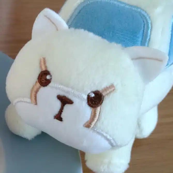 いあいかさ