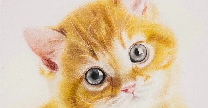 気高き猫 色鉛筆画 パステル 気高き猫 色鉛筆画 パステル - メルカリ