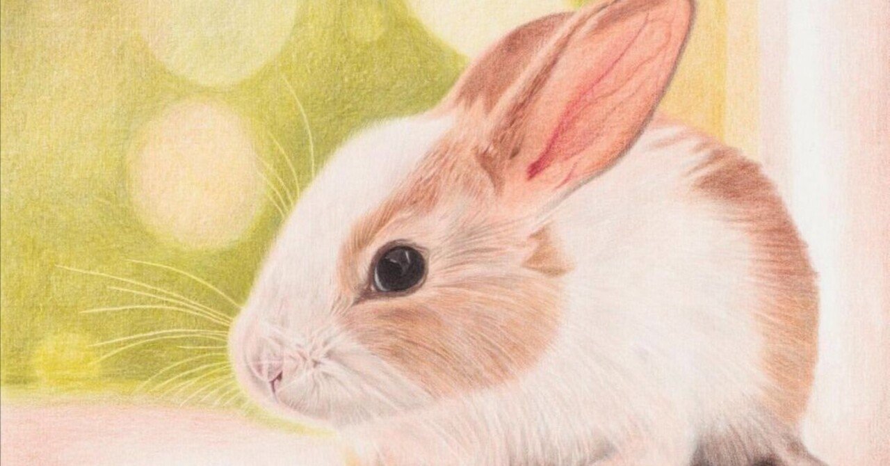 色鉛筆で描いたうさぎです。｜ここまる