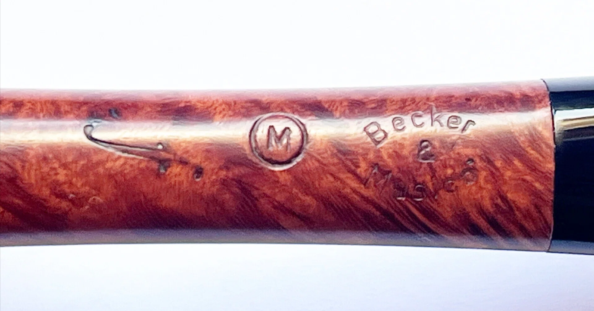 Becker & Musico / M / f｜Bull