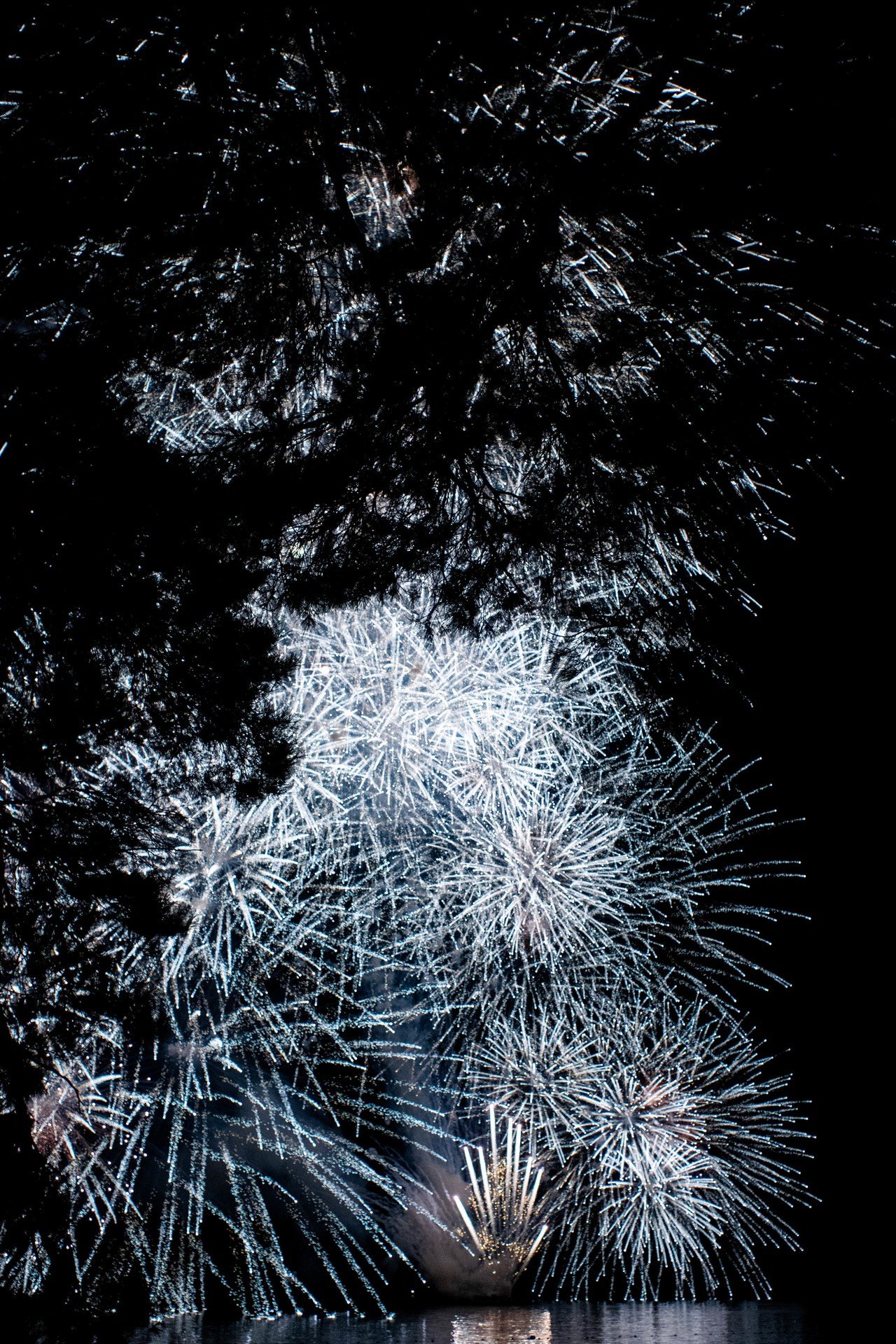 花火 手持ち撮影 Maiechiura Note 花火 手持ち撮影 Maiechiura Note