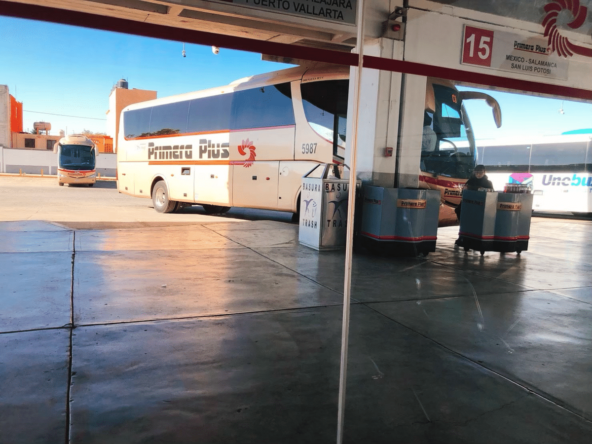 メキシコ　21点まとめ