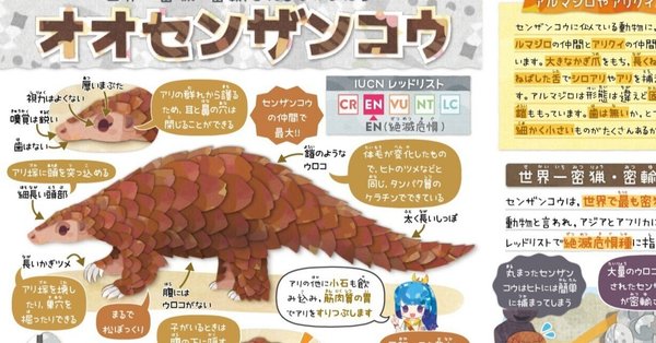 絶滅危機動物ファイル - 2024-01｜キクチミロ｜note