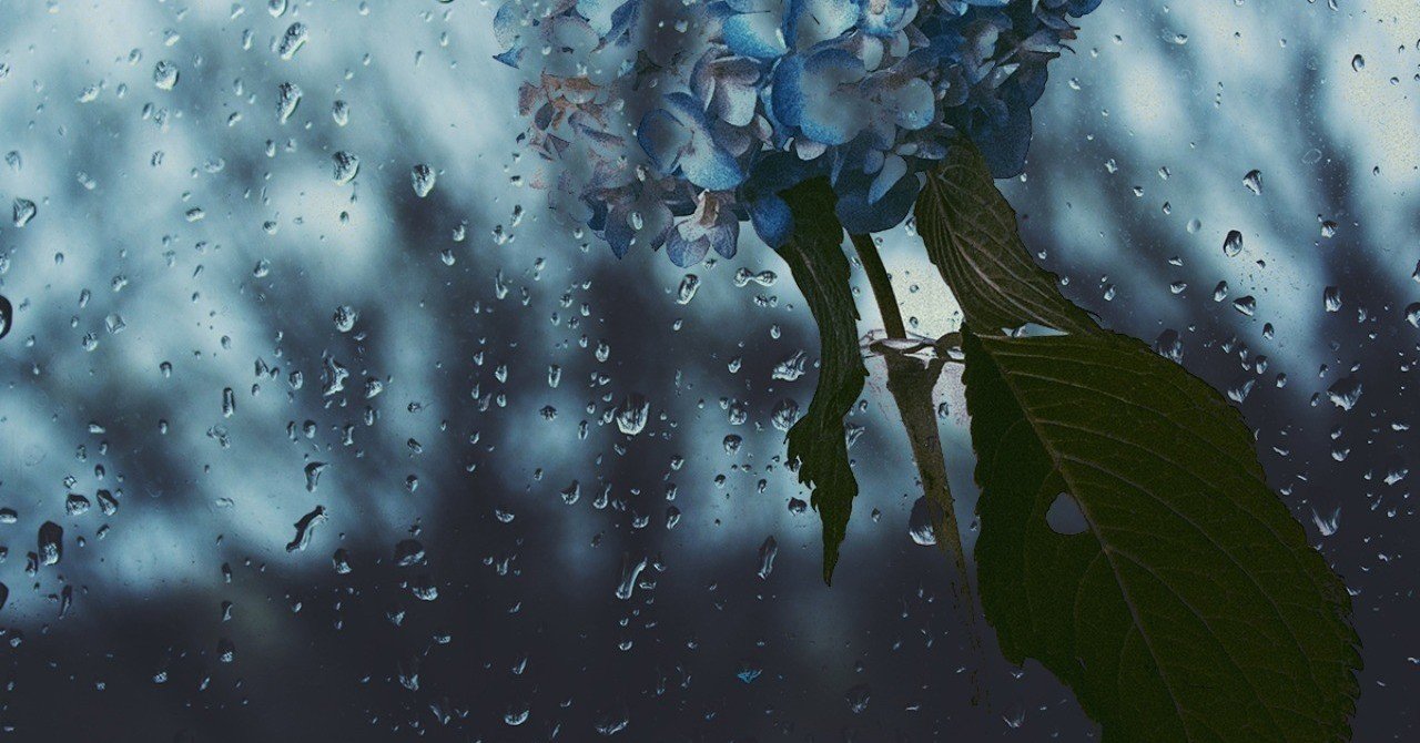 雨の日のいいところを知っている タオ Note 雨の日のいいところを知っている タオ Note