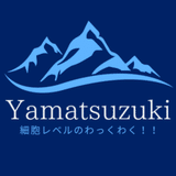 yamatsuzuki