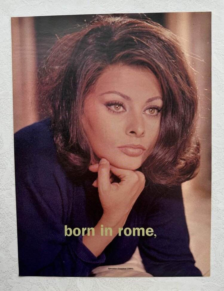 Sophia Loren