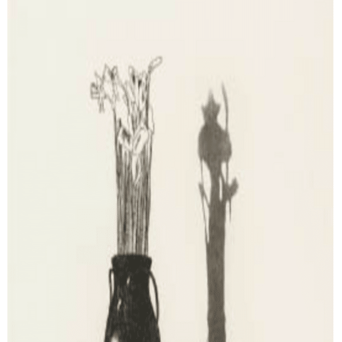 デビッド・ホックニー】版画 / エッチング・アクアチント 「花瓶と花