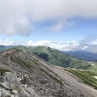 大里真由