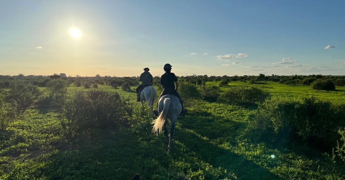 Riding through an African Safari Day 8｜Kitty｜ブリティッシュな馬とのつきあい方