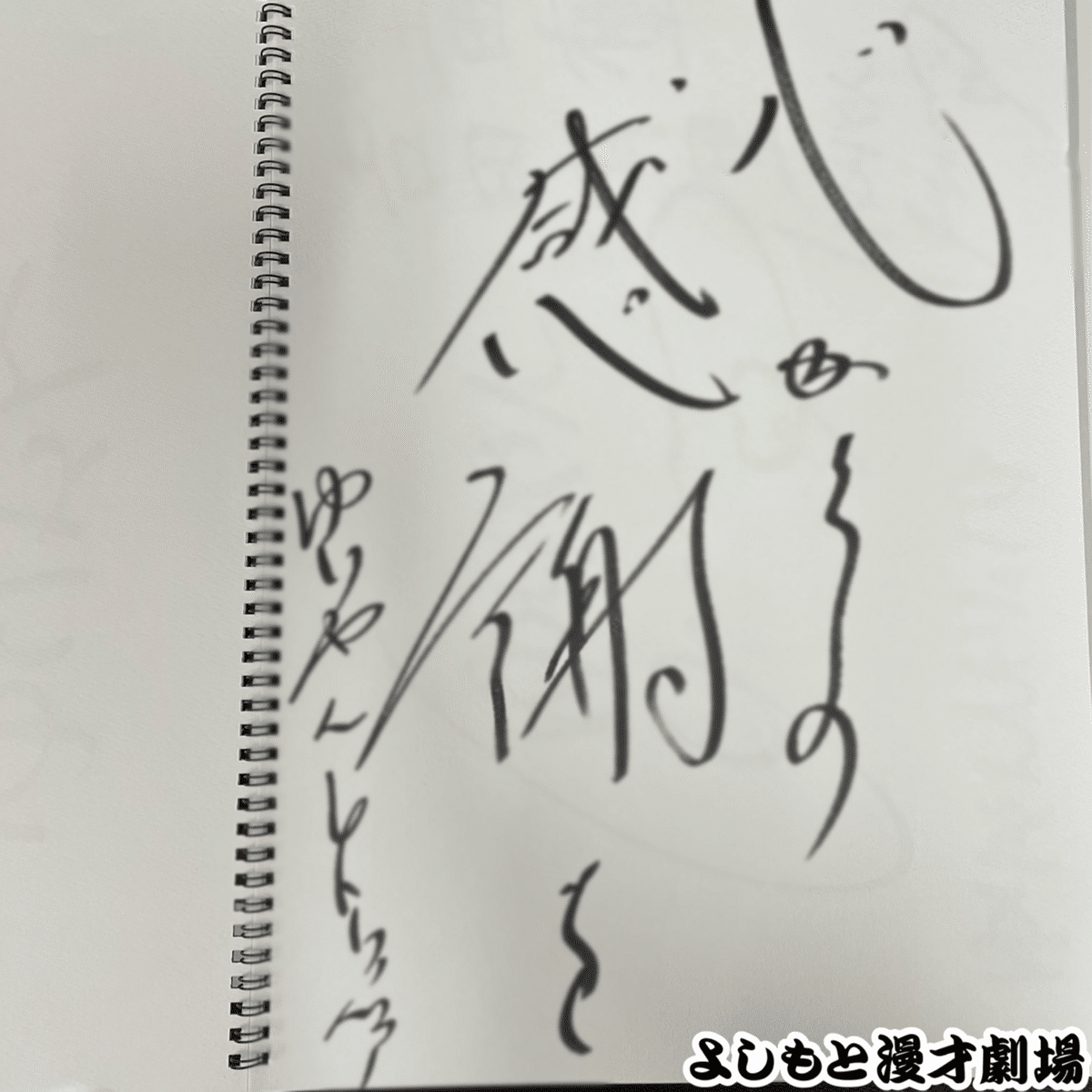 🔎 マンゲキサインヒストリー ✐☡ゆりやんレトリィバァ編