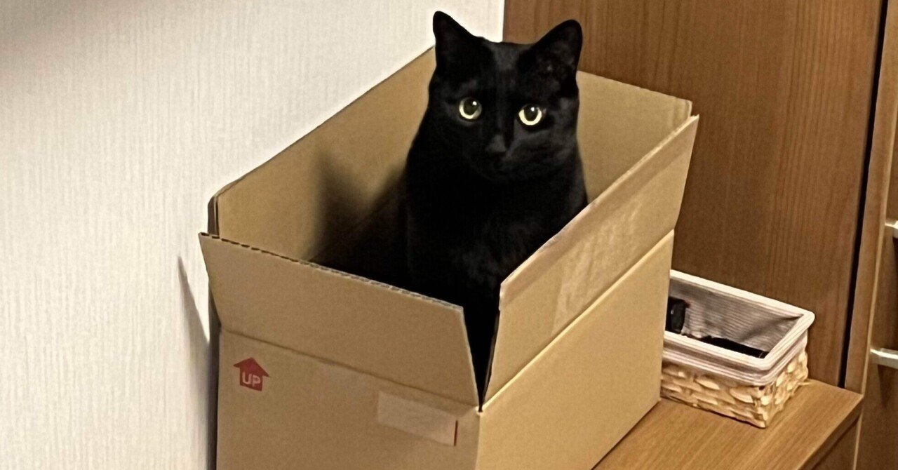 黒猫タンゴ様★専用 黒猫のタンゴ - YouTube