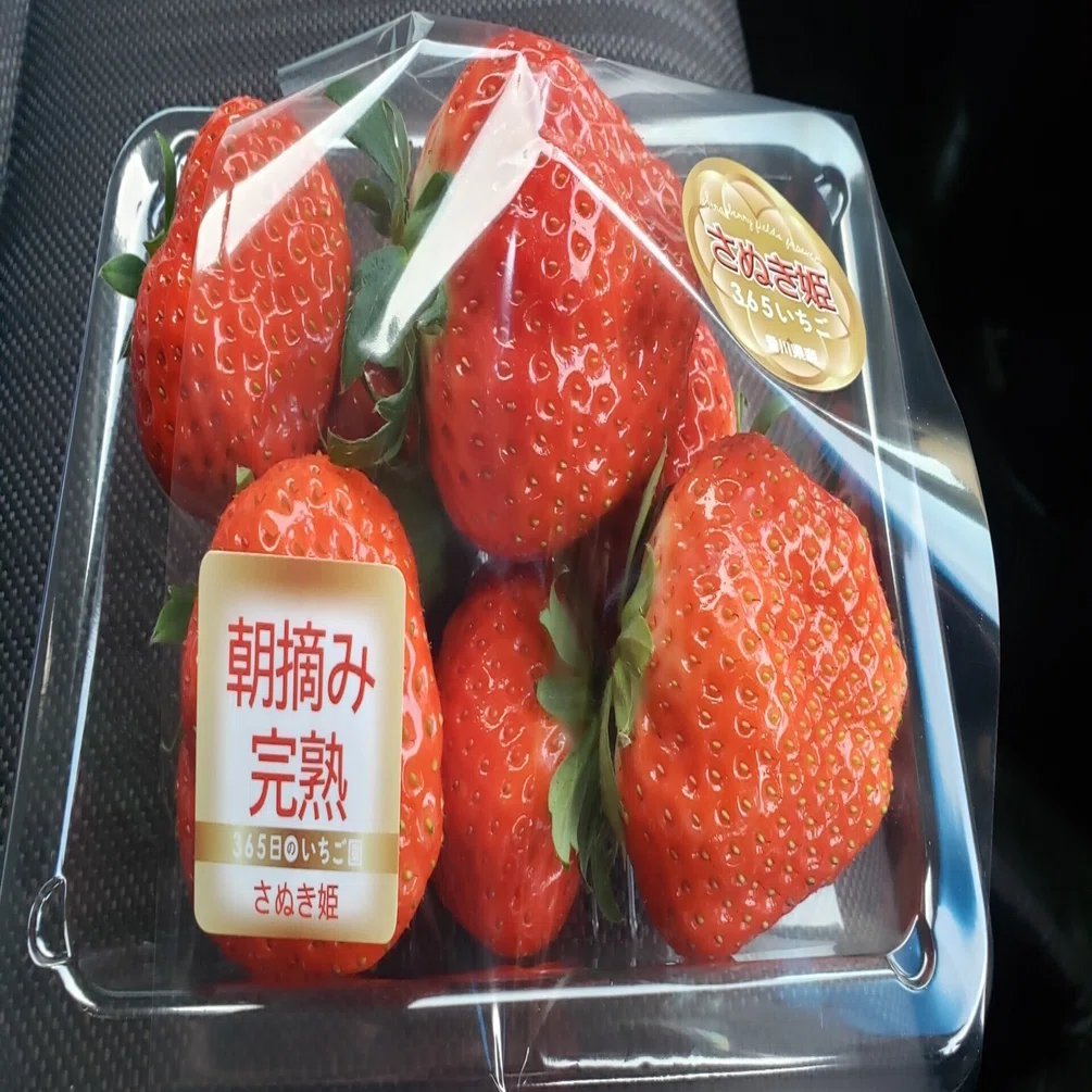 ひめいちご様　フェラガモ いちごの気になる情報】3月のお姫様「やよいひめ」、どんな品種