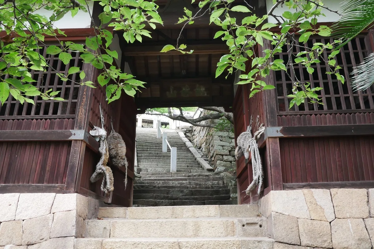 画像