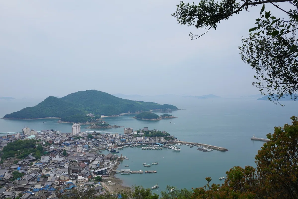 画像