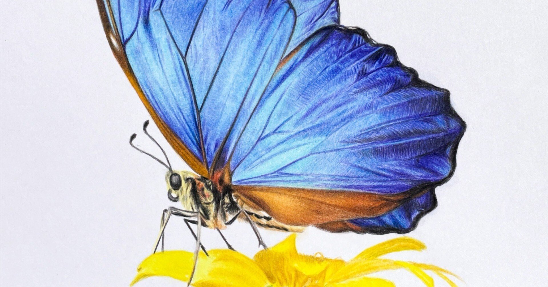 fbcdc94b588738c74bd4bdb93c2b34