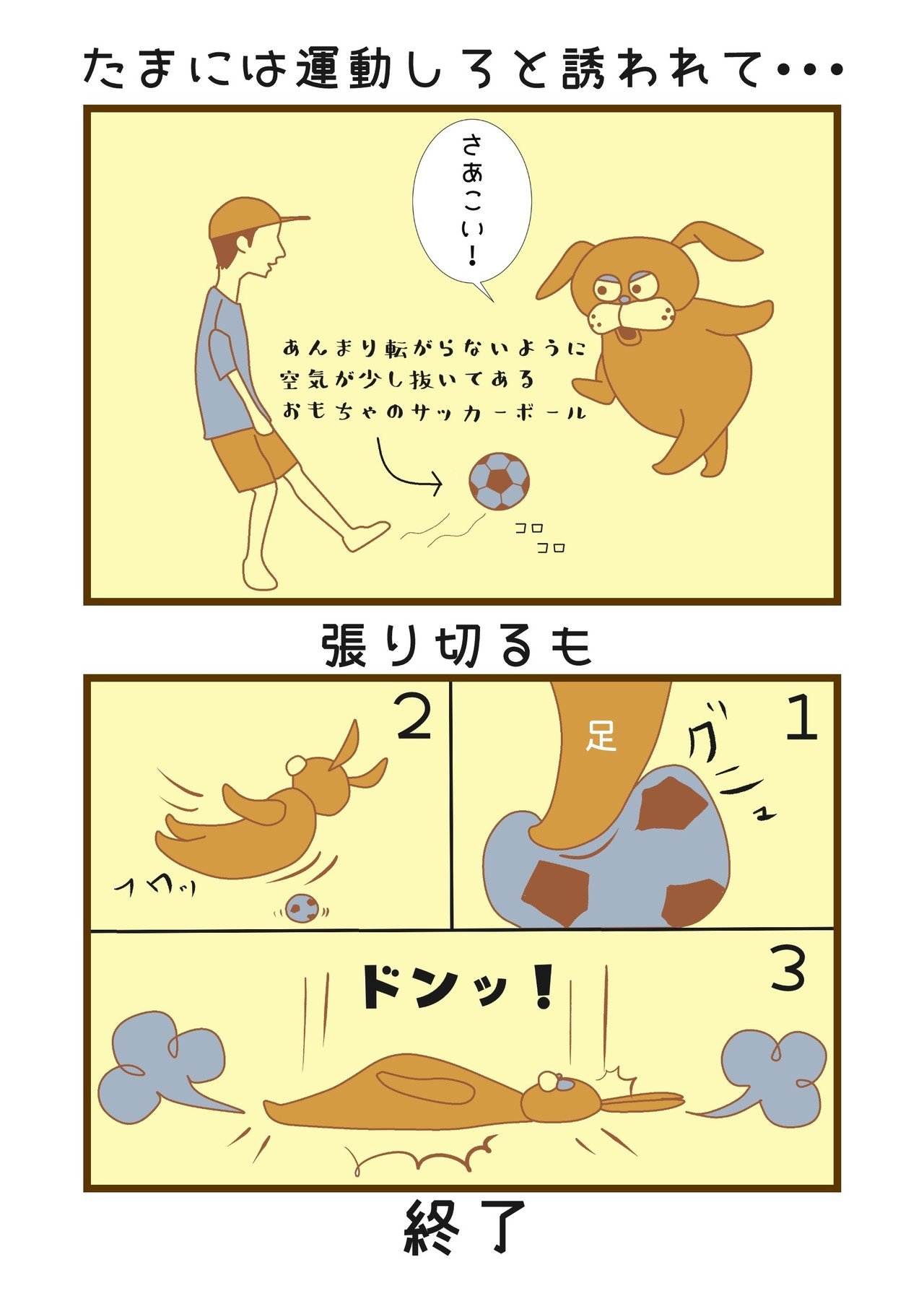 サッカー完成