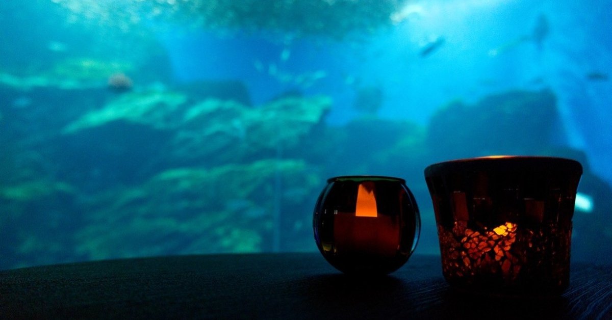 海のお月様 ウミウシのプリンセス インテリア シーグラスアート