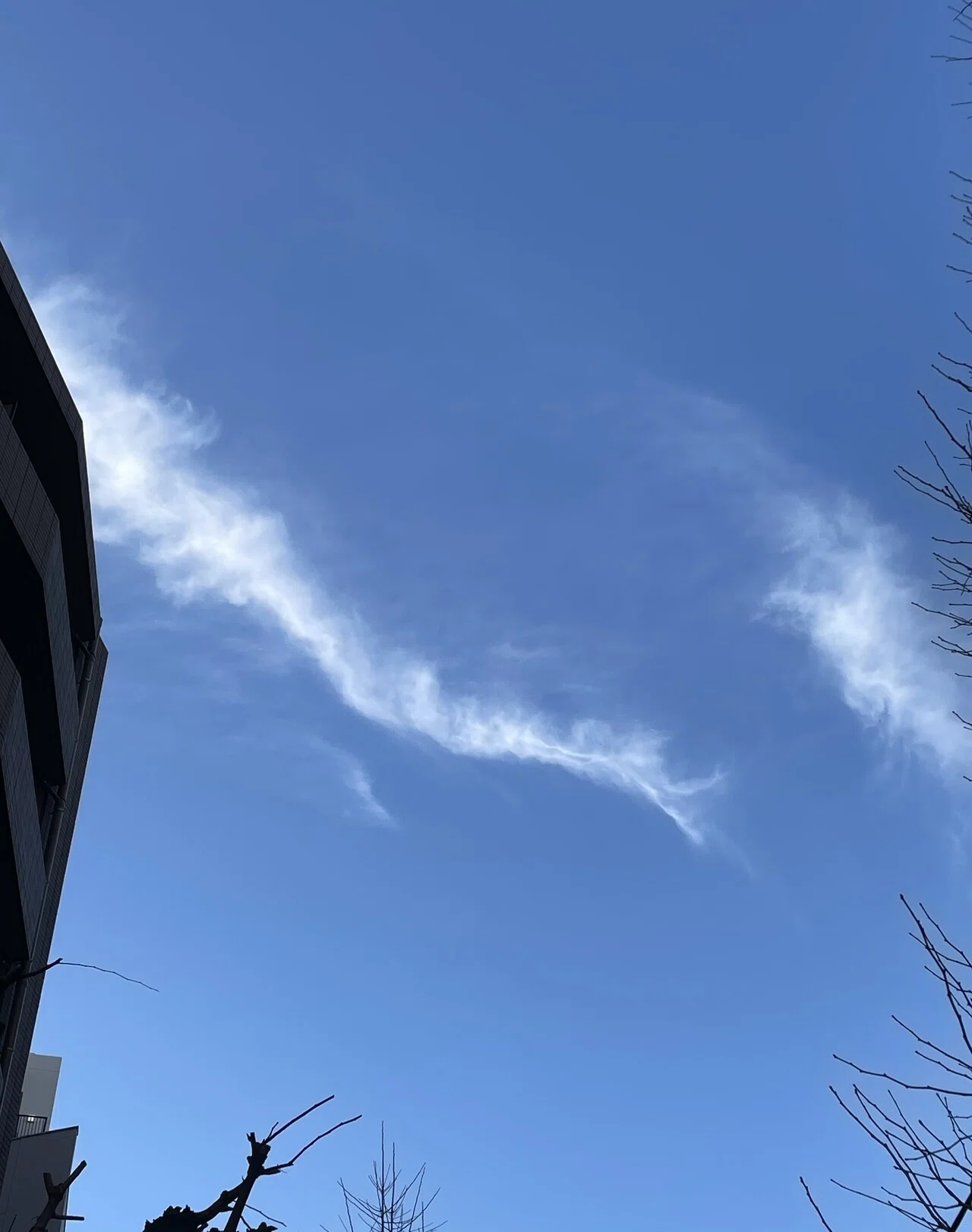 なんとなく、見上げた空に、口を開けた龍みたいな雲が。今年は辰年で、最近、龍神さまの本を読んでいたから、姿を見せてくれたのかしら？｜miyako ...