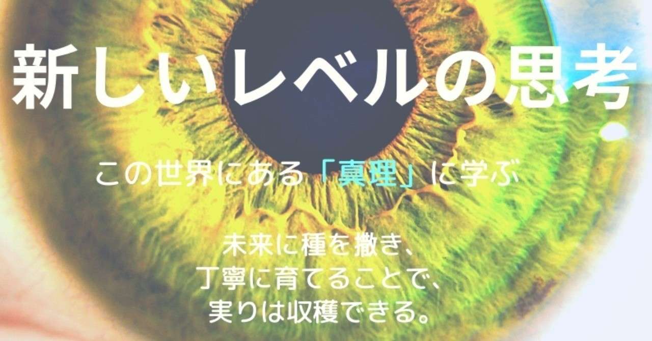 _The原則_書籍表紙デザイン