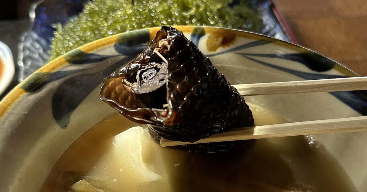 沖縄/イラブー(海蛇)のススメ①｜食材探検家 豊永裕美