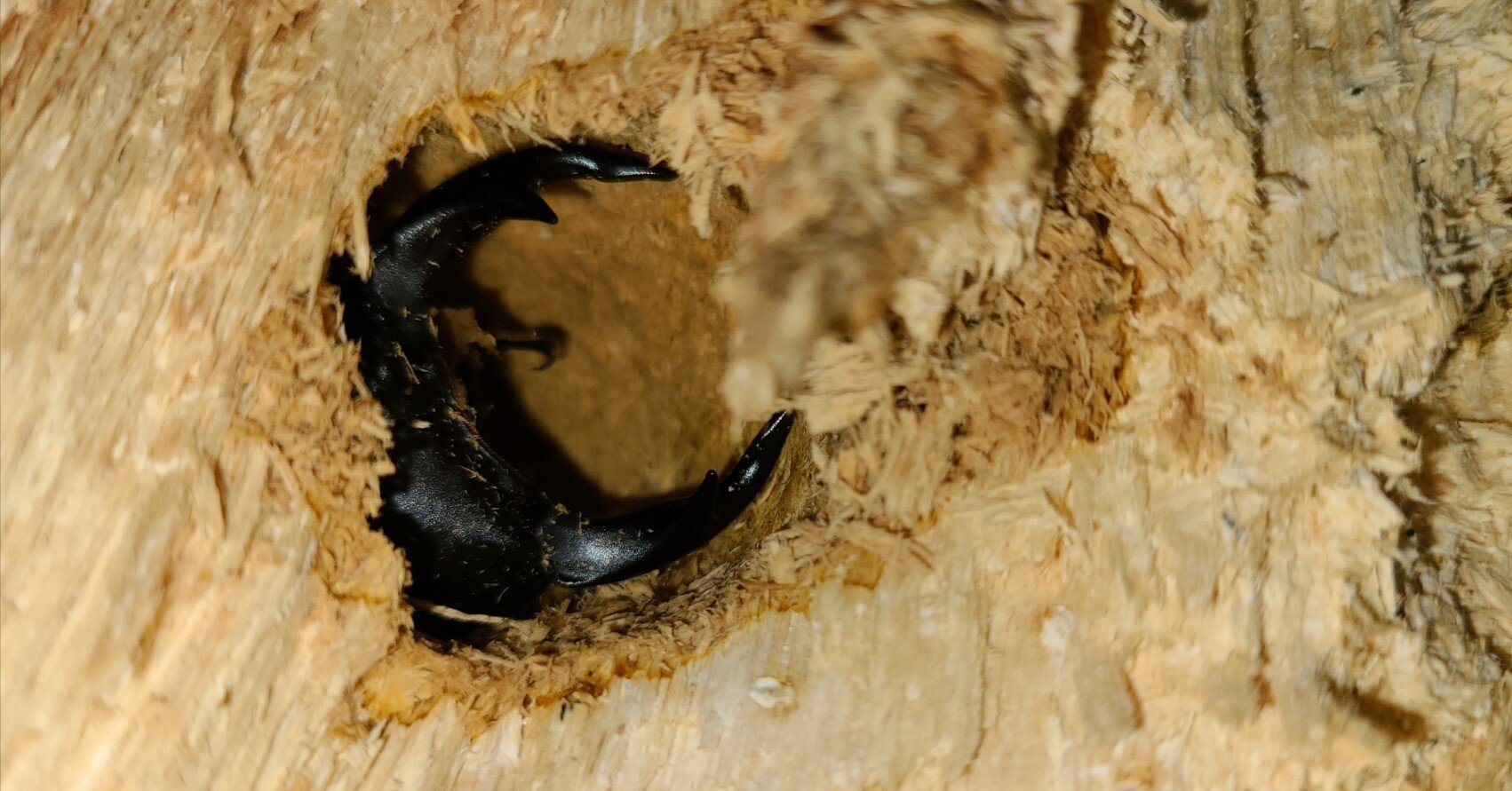 567ca905cf36d118e9a2fff315866b