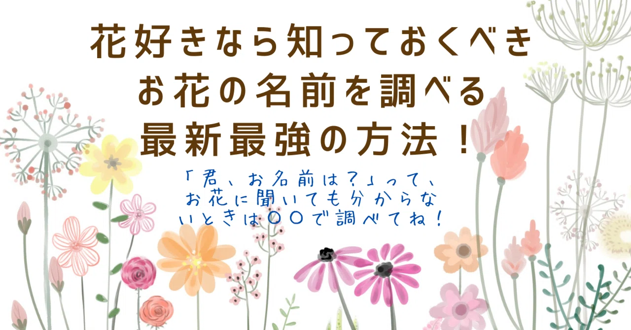 花好きなら知っておくべき、お花の名前を調べる最新最強の方法 