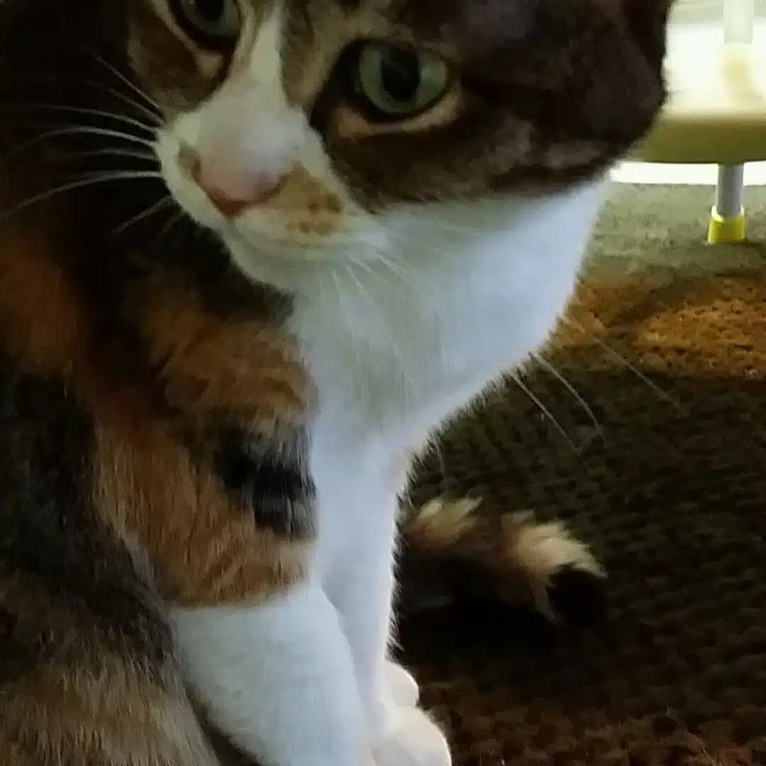 たくやぐみかんぱにー