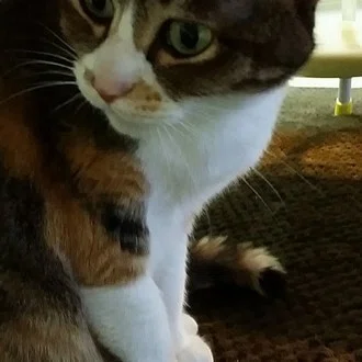 たくやぐみかんぱにー