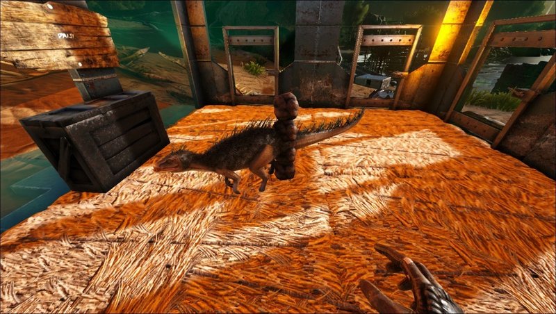 ゲームに生息しているキャワ生物紹介 Ark Survival Evolved Pc シーグリーン Note ゲームに生息しているキャワ生物紹介 Ark Survival Evolved Pc シーグリーン Note