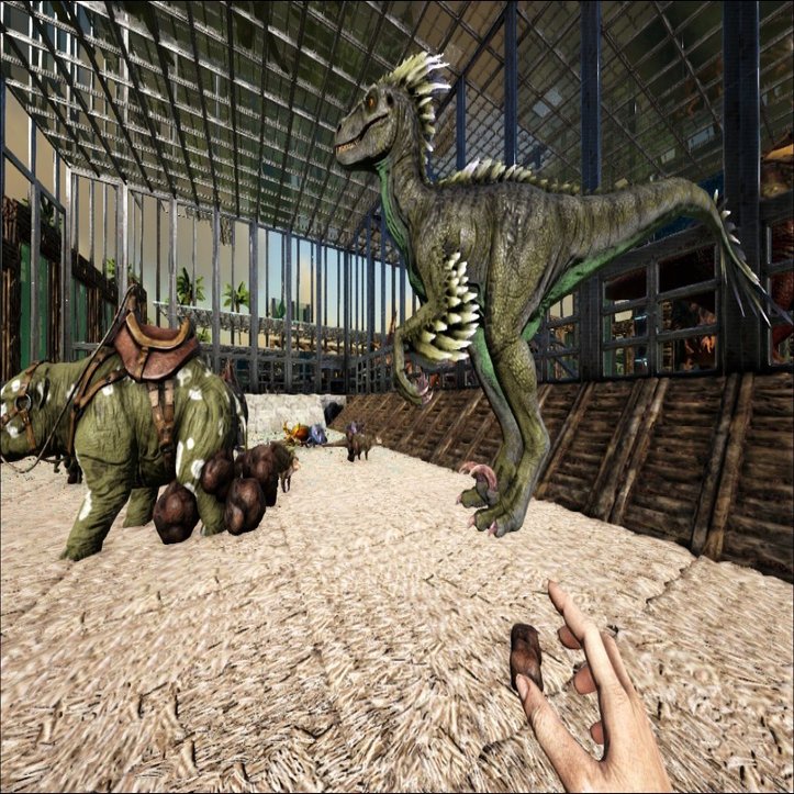 ゲームに生息しているキャワ生物紹介 Ark Survival Evolved Pc シーグリーン Note