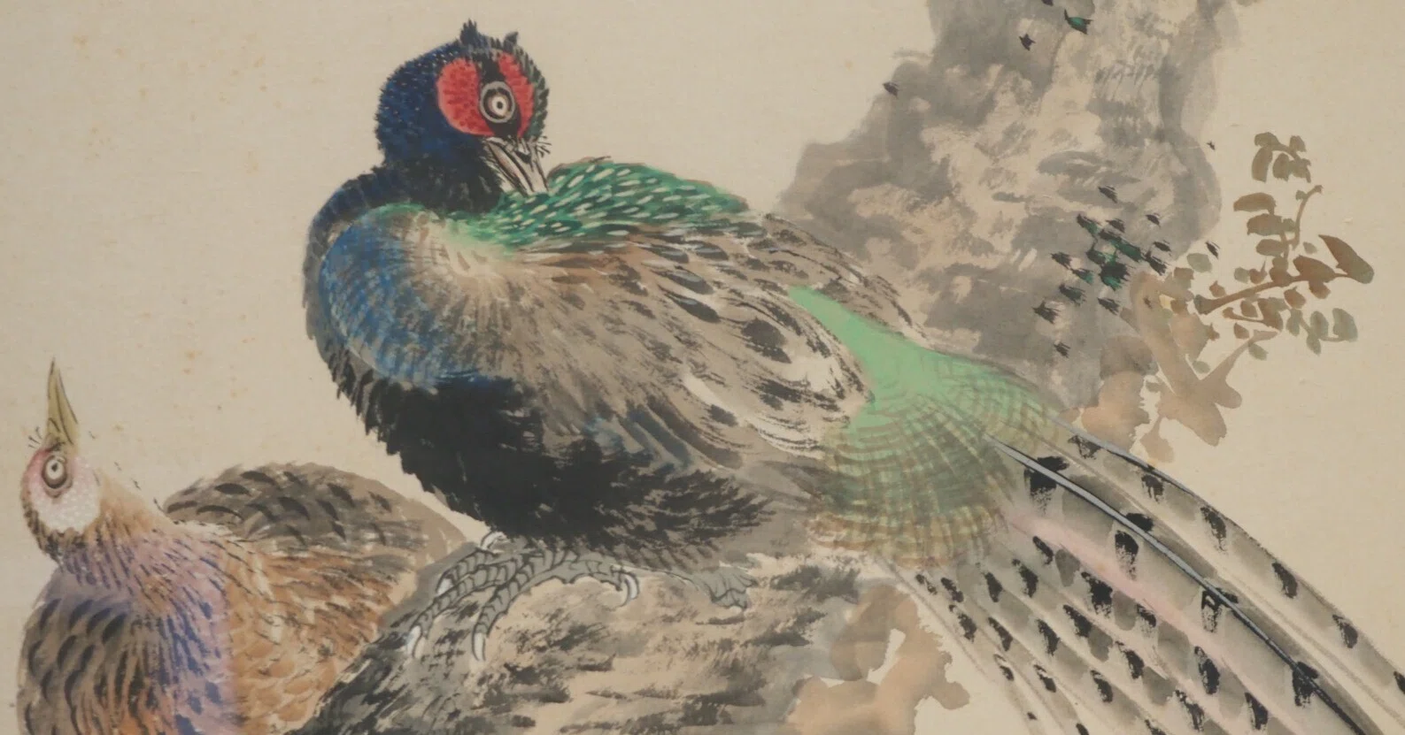 江戸時代の図譜と岡本秋暉の《四季花鳥図屏風》｜かわかわ