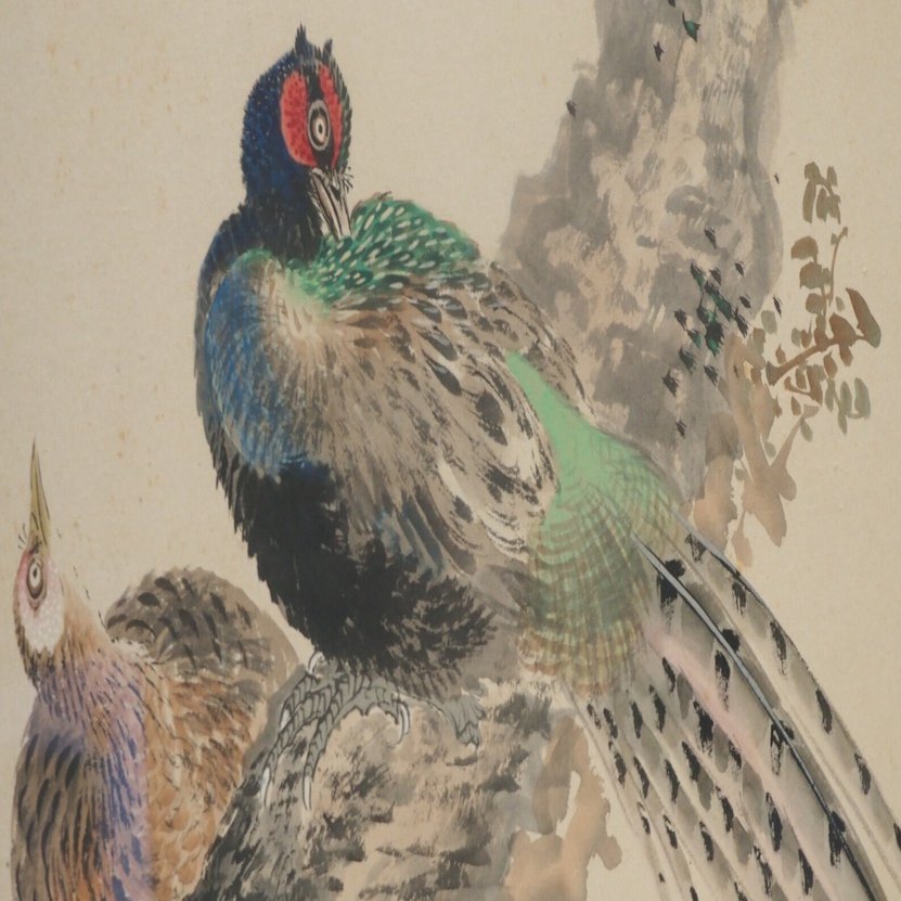 江戸時代の図譜と岡本秋暉の《四季花鳥図屏風》｜かわかわ