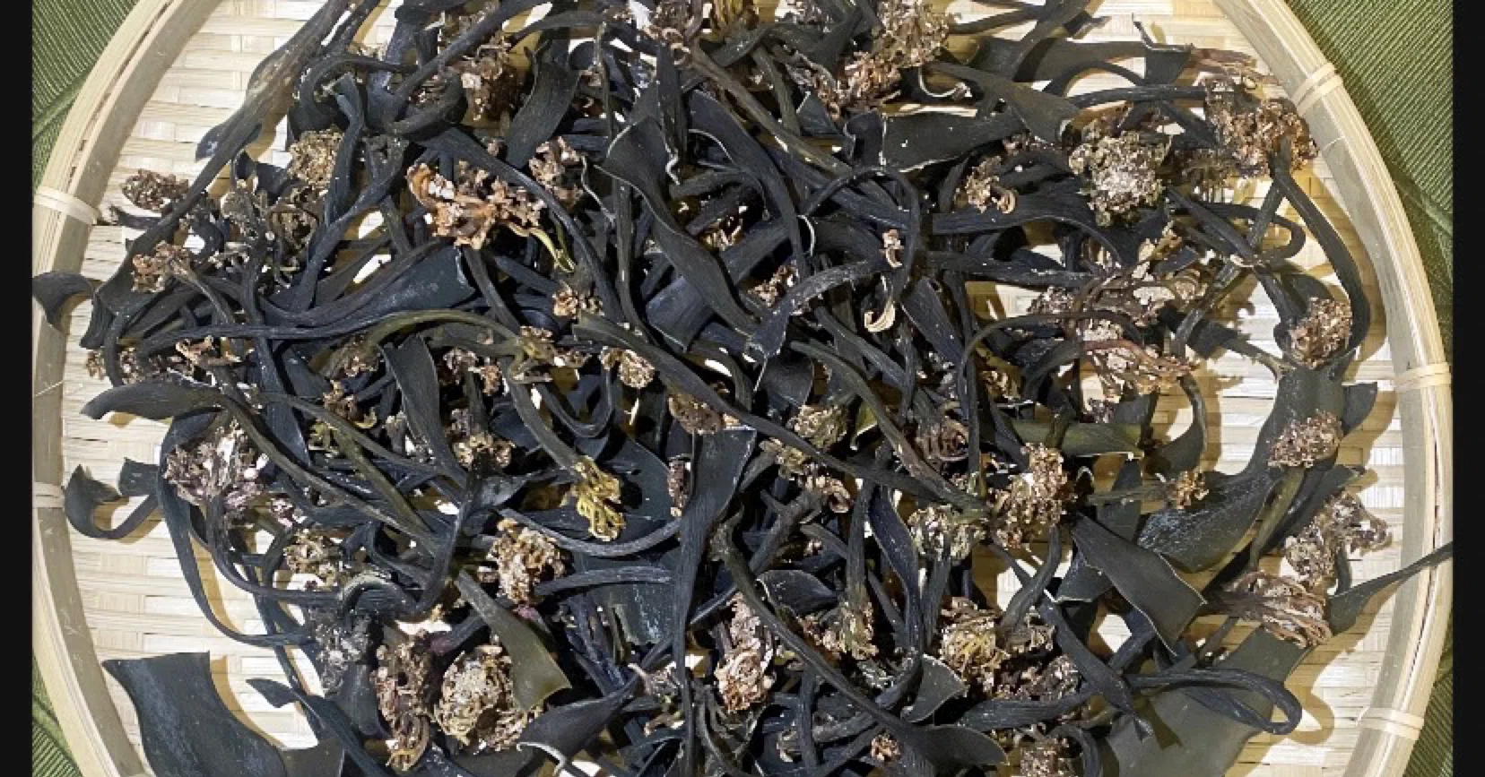 岩手県産】乾燥根昆布 3kg 粘り強い 昆布茶 希少部位 煮物に最適 大