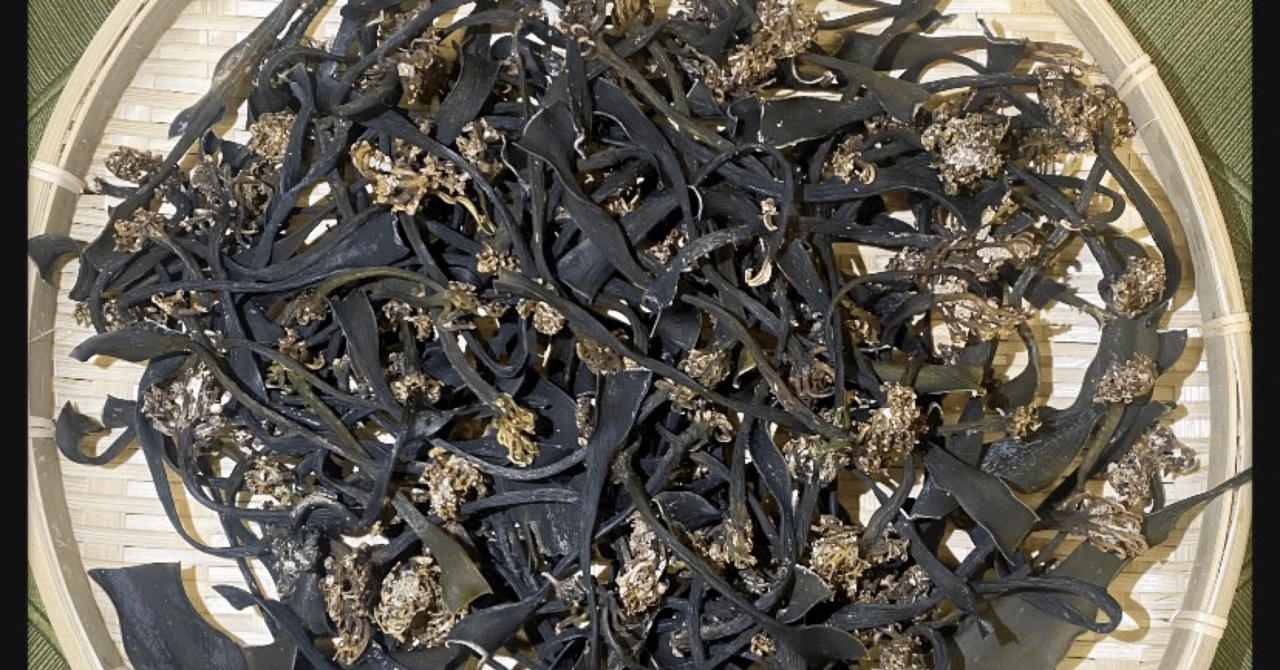 根っこ付き天然根昆布】岩手県産 根昆布 1kg 冬季収穫 天然昆布 高級