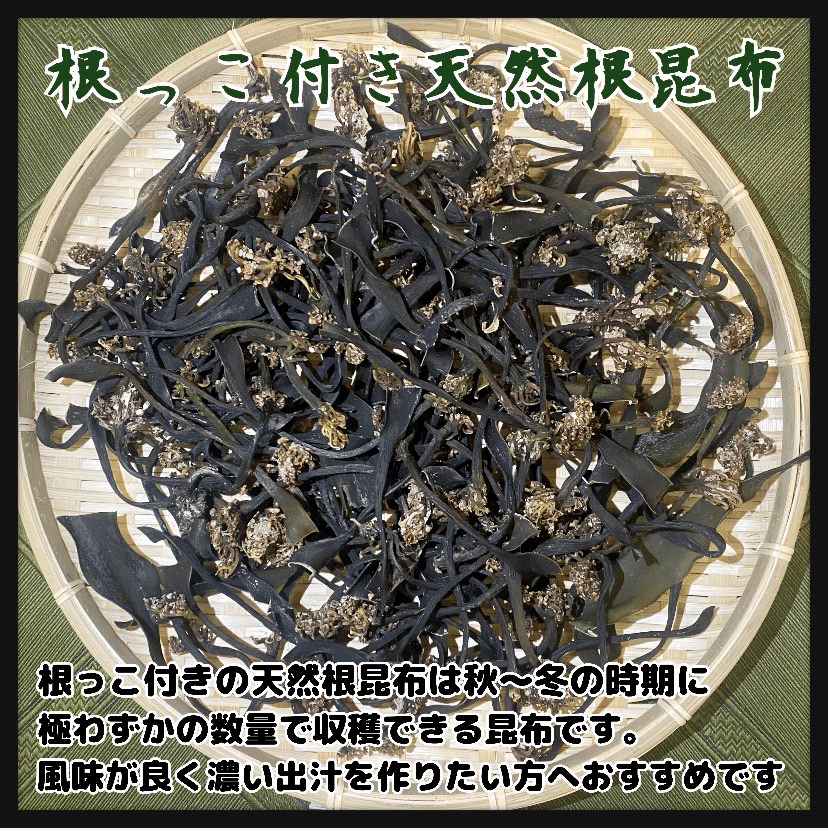 根っこ付き天然根昆布】岩手県産 根昆布 1kg 冬季収穫 天然昆布 高級