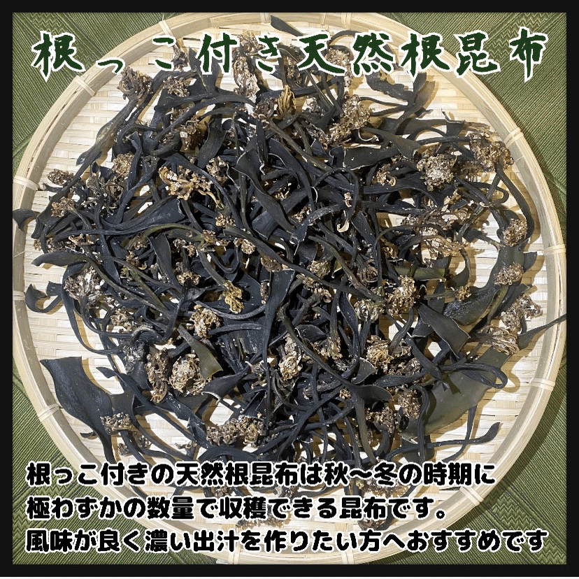 根っこ付き天然根昆布】岩手県産 根昆布 1kg 冬季収穫 天然昆布 高級
