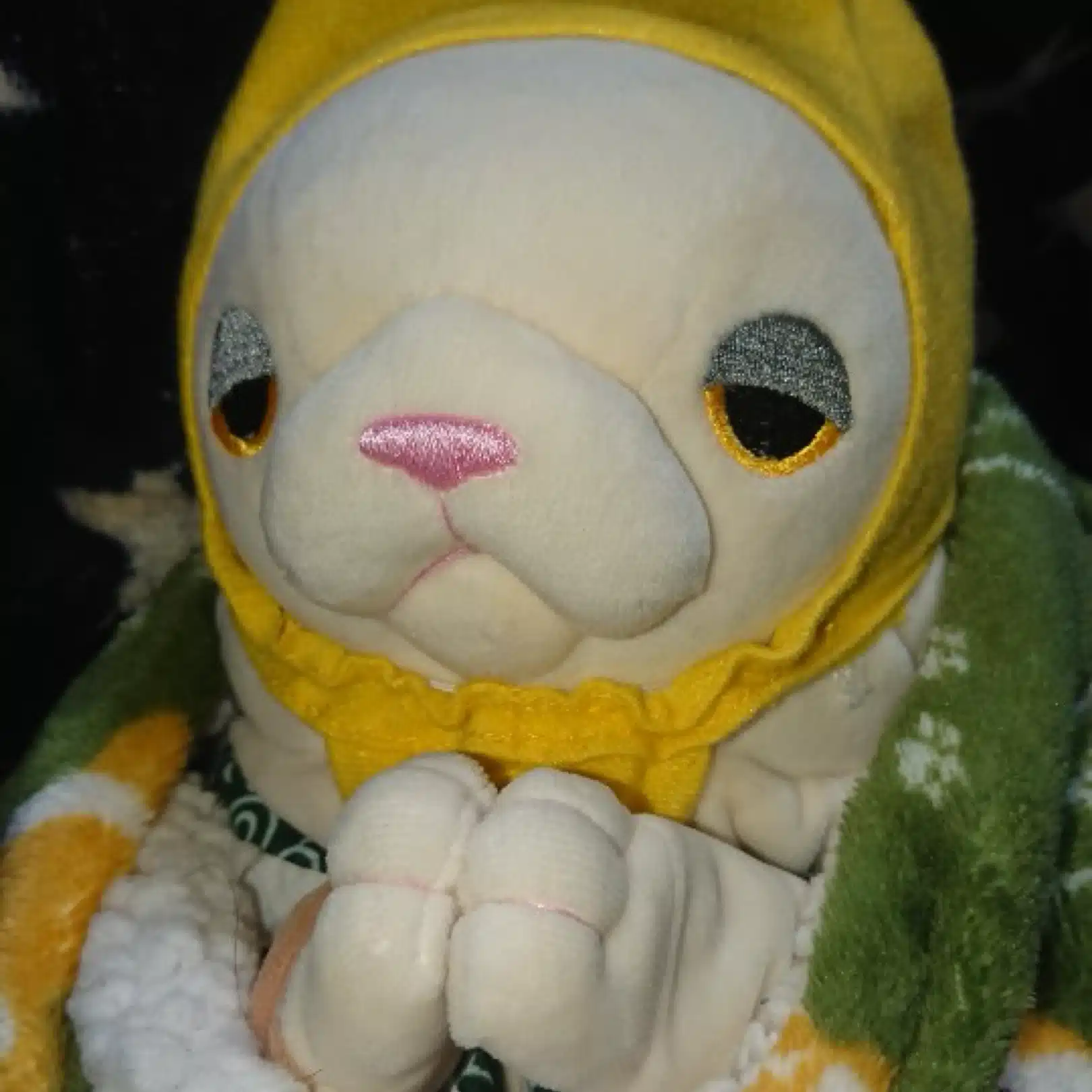 nice_gerbil0718